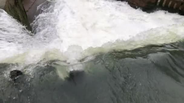 Close-up shot van het water, die snel naar beneden valt, lijkt het verfrissend — Stockvideo
