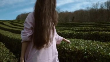 Saçlarını kapalı bir yüzle genç bir kadınla yeşil çay çalılar rotaları