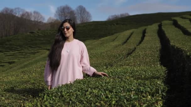 A young woman in sun glasses stands between rows on a tea plantation on a summer day — Stock Video