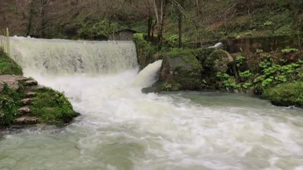 Água cai em um córrego de rio em floresta — Vídeo de Stock
