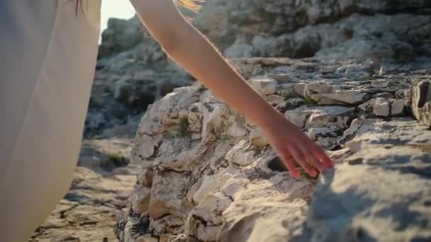 Donna sta toccando roccia a mano, passeggiando in estate sulla natura — Video Stock