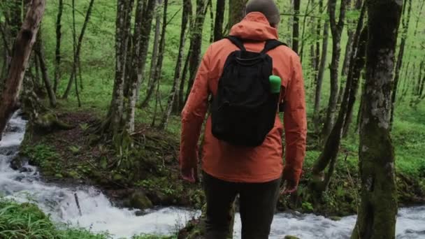 Ταξιδιώτη άνθρωπος περπατά στο δάσος με το ποτάμι — Αρχείο Βίντεο