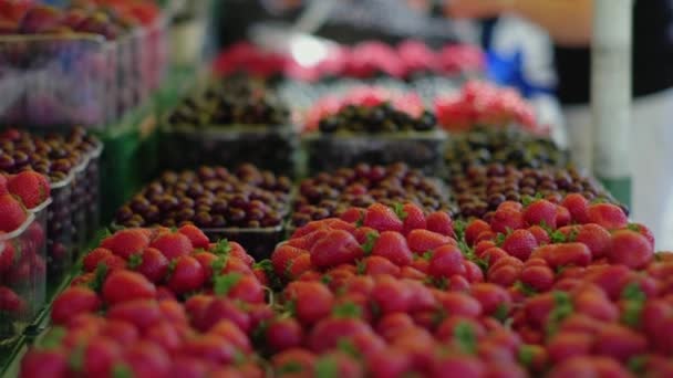 Bayas frescas en el mercado — Vídeo de stock