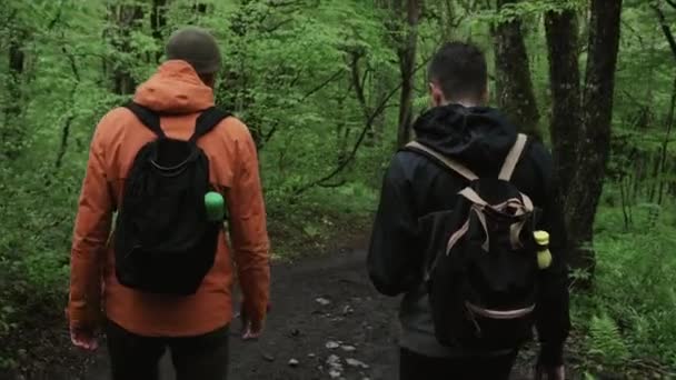 Mannen vrienden wandelen in het bos — Stockvideo