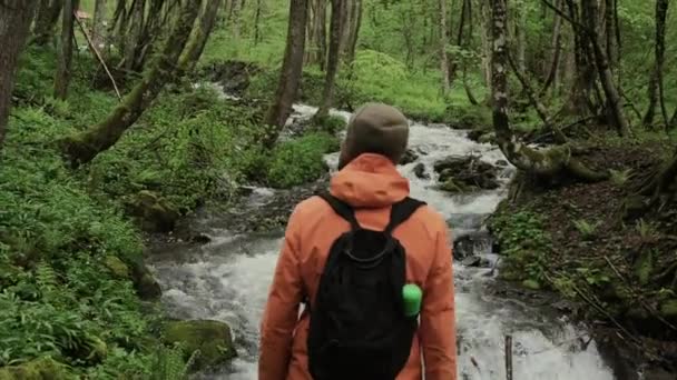 Wandern, um die wilde Natur zu genießen — Stockvideo