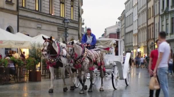 Polsko, Krakov - srpen, 2019: Turisté jezdí v kočáře s koňmi na centrálním náměstí Krakova — Stock video