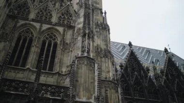 St. Stephens Katedrali. Viyana, Avusturya manzaraları