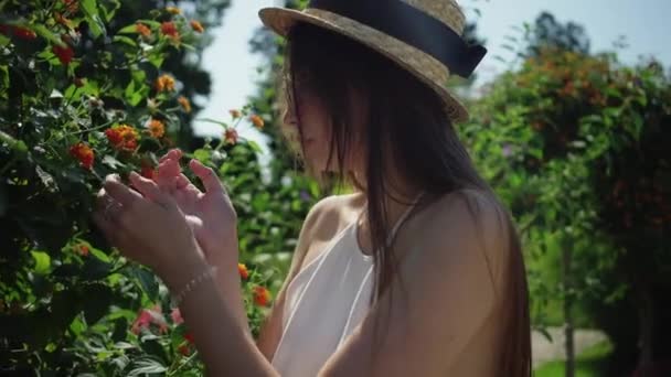 女人在开花的灌木上嗅着花 — 图库视频影像
