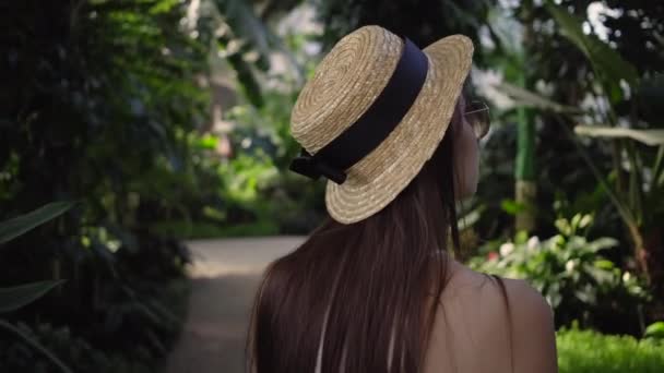 Promenade dans la serre parmi les plantes vertes. Lednice, Tchéquie — Video