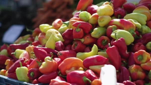 Свежий сладкий перец лежит в куче на рынке — стоковое видео