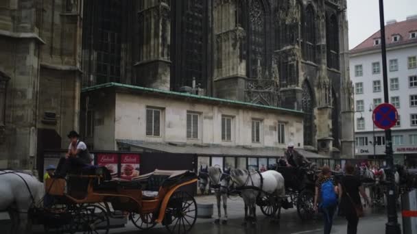 Wózki konne dla turystów przy katedrze św. Stefana w Wiedniu, Austria — Wideo stockowe