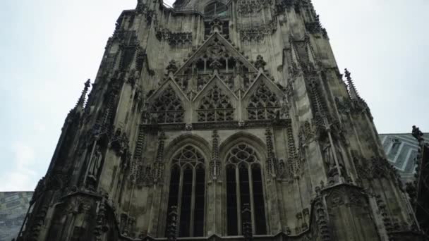 St. Stephens katedrze w Wiedniu, Austria — Wideo stockowe