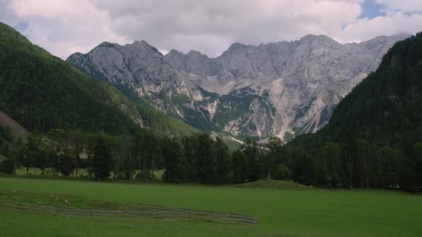 Landschap met weide en Alpen — Stockvideo