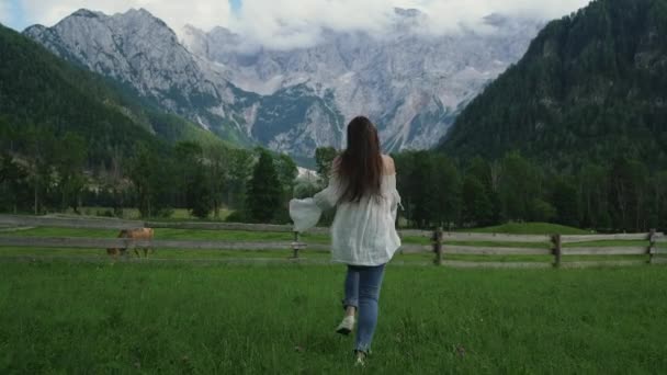 Ecoturismo en países con montañas de los Alpes — Vídeo de stock