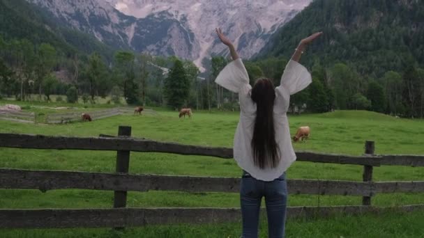 Resenärskvinna tittar på ängar med kor och berg i alpområdet — Stockvideo