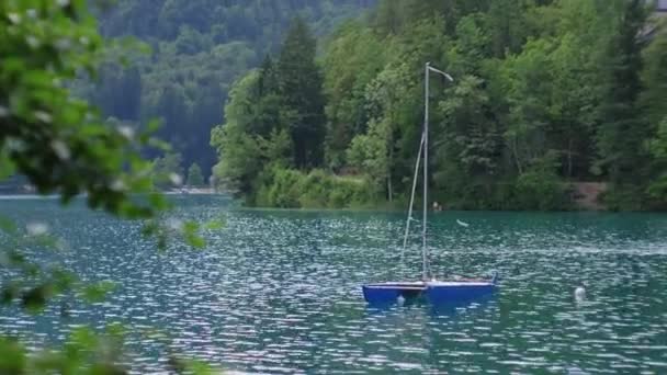 Jezero Bled s zakotvenou jachtou ve Slovinsku — Stock video