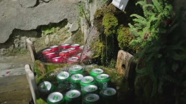 Frascos con cerveza y limonada se enfrían en el agua al aire libre — Vídeo de stock