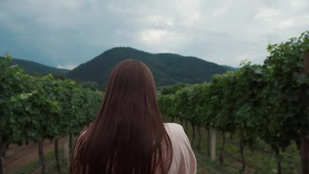 Девушка захватывает виноградники в долине Вахау, Австрия — стоковое видео
