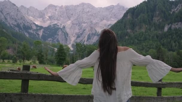 Frau blickt auf Landszene mit Kühen und Alpen — Stockvideo