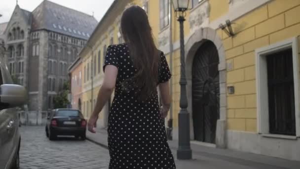 Vakantie in de hoofdstad van Hongarije, Boedapest in het centrum — Stockvideo