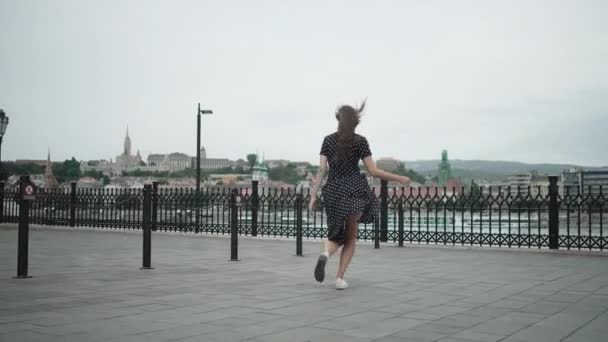 Férias felizes em Budapeste, Hungria, Europa no verão — Vídeo de Stock