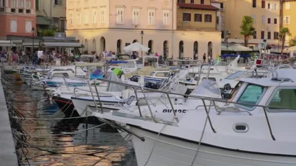 Rovinj nábřeží s loděmi kotviště, Chorvatsko — Stock video