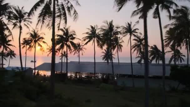 Zee, zonsondergang en kust met palmen. Kijkend naar het landschap van bewegende kabelbaan — Stockvideo