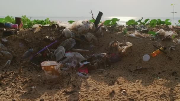 Problema da ninhada na costa do mar — Vídeo de Stock