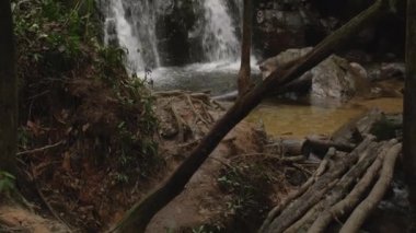 Vietnam 'daki tropikal ormanda şelale