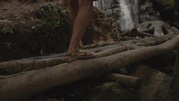 Traveler looking at waterfall in jungle — Stock Video