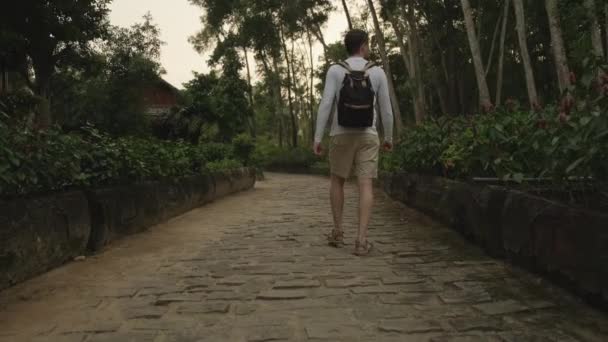 Мужчина турист идет по тропинке в саду — стоковое видео