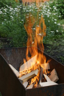 Demir bir barbeküde, odun ateşi büyük bir ateşle yanar.