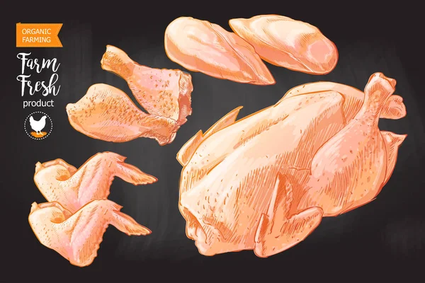 Вектор мяса курицы — стоковый вектор