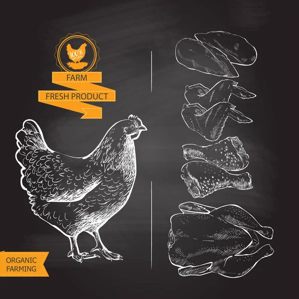 Daging ayam vektor Stok Ilustrasi Bebas Royalti