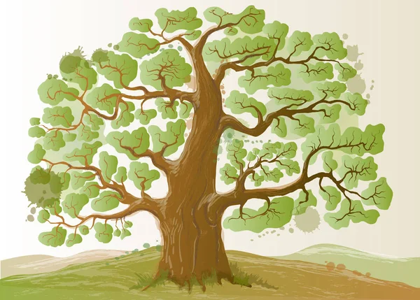 Vektorové dubový strom — Stockový vektor