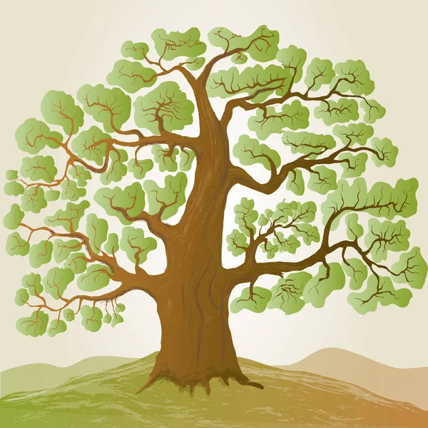 Vector oak tree — Stock Vector