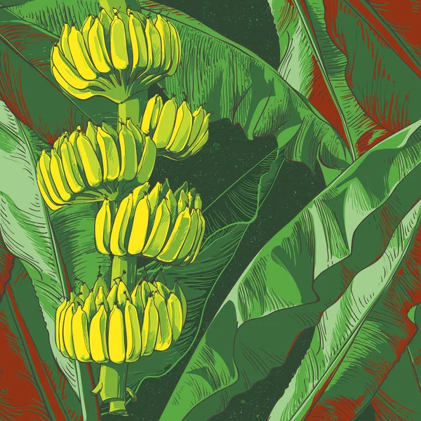 Vector hoja de plátano tropical, textura de frutas — Archivo Imágenes Vectoriales