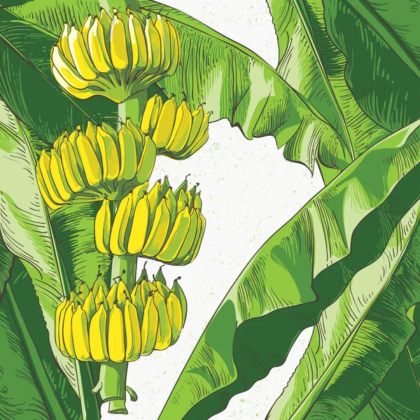 Vector hoja de plátano tropical, textura de frutas — Archivo Imágenes Vectoriales