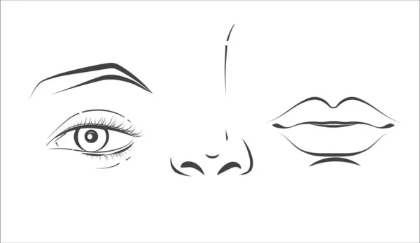 Un visage de femme. Croquis en ligne noir et blanc portrait avant — Image vectorielle