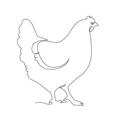 Tavuk, tavuk kuşu. Kümes hayvanları, ızgara, çiftlik hayvanları. Eski Paskalya kartı. Yumurta paketleme tasarımı. Gerçekçi taslak, satır, siluet, gravür çizimi.