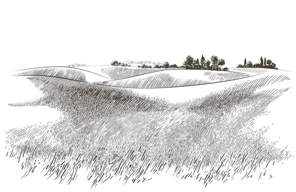 Vector esboço Campo de grama verde em pequenas colinas. Prado, álcalis, lixívia, prados, pommelo, lea, pasto, fazenda. Paisagem rural panorama paisagístico das pastagens rurais. Ilustração —  Vetores de Stock