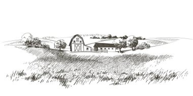 Vector, küçük tepelerdeki yeşil çim tarlasını çiziyor. Çayır, alkali, kül suyu, çayır, kulplu, lea, otlak, çiftlik. Kırsal manzara manzarası kırsal çayırların manzarası. resimleme