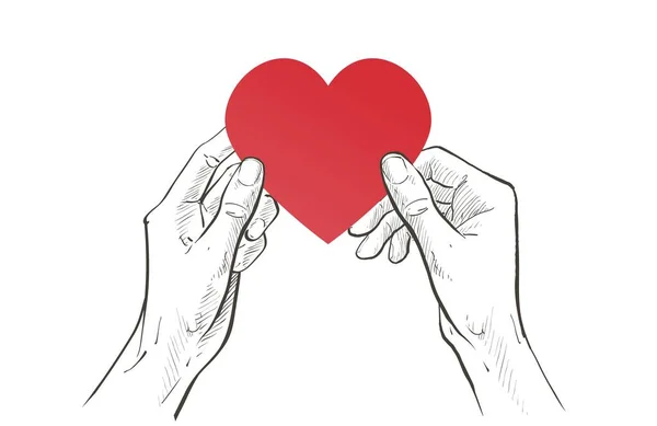 Dos manos sosteniendo el corazón. Cuidado de la salud, ayuda, caridad, donar amor y concepto familiar. Dibujo vectorial línea ilustración — Archivo Imágenes Vectoriales