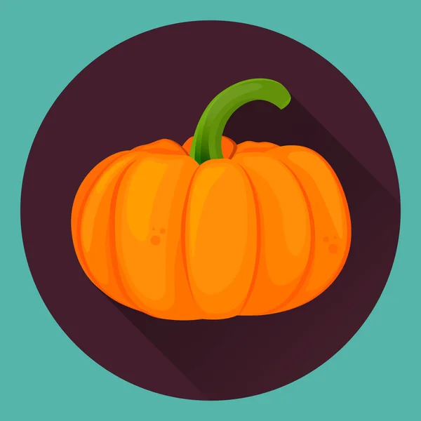 Citrouille pour Halloween. — Image vectorielle