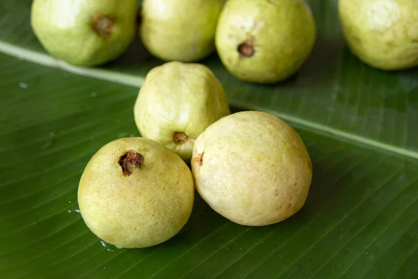 Guave-vruchten op een bananenblad. Verse guave. — Stockfoto