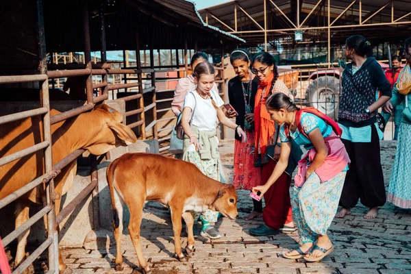 Mayapur Nyugat Bengál India 2020 Február Tinédzser Lányok Multinacionális Csoportja — Stock Fotó