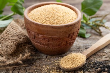 Tahta kaşık ve ahşap arka planda bulunan Amaranth bitkisinin olduğu bir kasede çiğ organik Amaranth Tanesi. Sağlıklı renkli glüten besin konsepti.