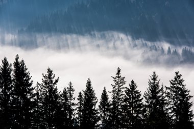 Sisli dağlar manzarada.