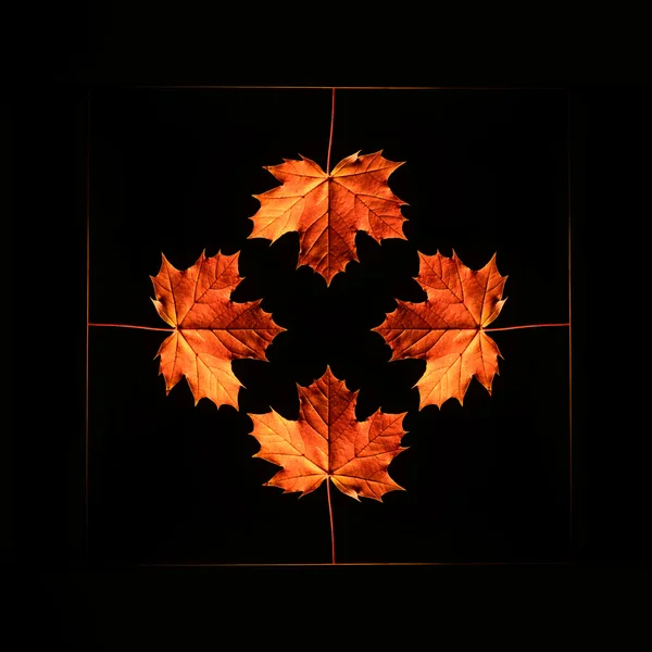 Autumn frame for a poster. — Stock Photo, Image