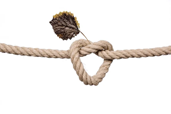 Apfelförmiger Knoten. — Stockfoto